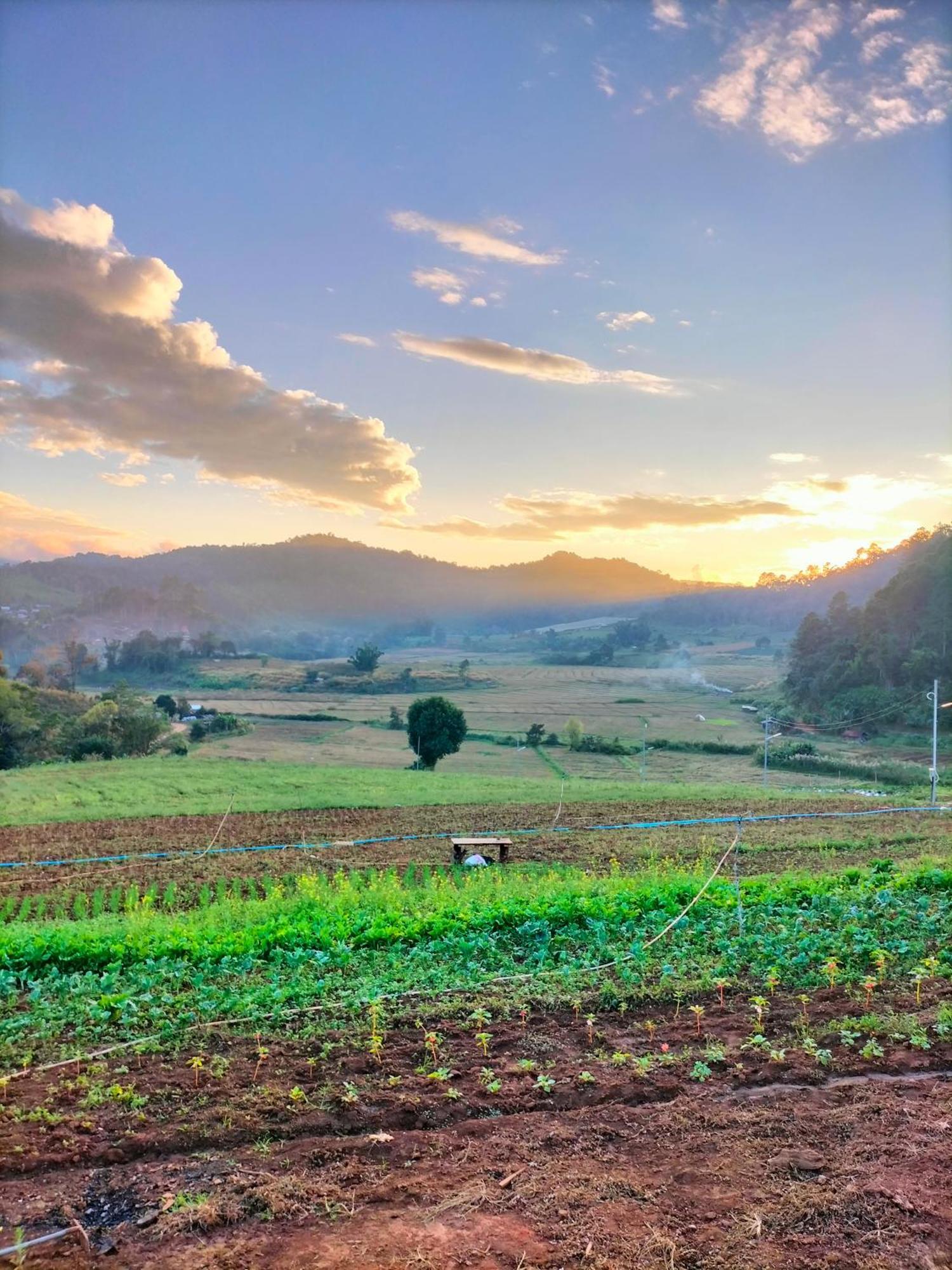 Готель สวนไร่รุ่งอรุณ Suan Rai Rungarun Ban Na Pa Paek Екстер'єр фото